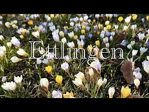 Ettlingen, Germany. Walking tour. 2025. 4K video.