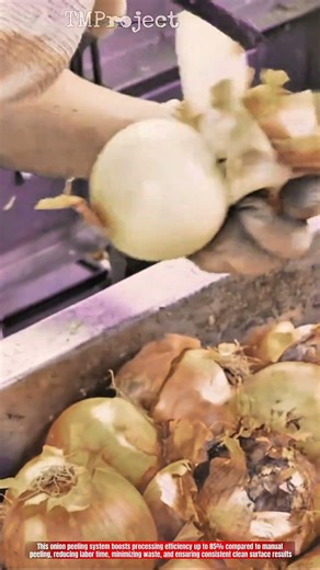 Innovative Onion Peeling Machine System: High-Efficiency Clean Skin Removal Flow