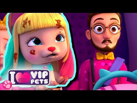 ⌚ TOUTE LA JOURNEE VIP PETS ⌚ 🌈 VIP PETS 🌈 ÉPISODES COMPLETS 💇🏼 DESSIN ANIMÉ pour ENFANTS