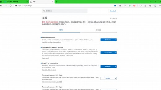 edge://flags全设置展示