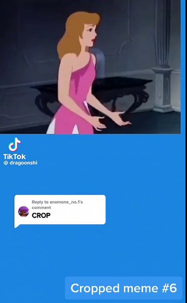 Replying to @anemone_no.1 Cinderella running while crying #fy #croppedmeme #cropped