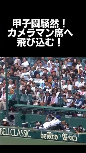 【高校野球 甲子園】 甲子園騒然！カメラマン席へ飛び込む超ファインプレー！ 横浜高校vs霞ヶ浦 #高校野球 #甲子園