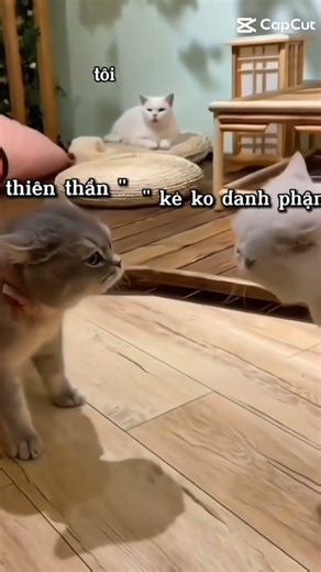 thề mỗi lần mà nghe bọn nó có chuyện là tôi kiểu " hở "🤡#xh#chflop