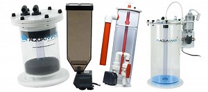 | The Beginners Reef