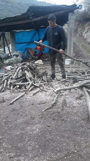 Expert Wood Chopping Techniques with Chainsaw Outdoors