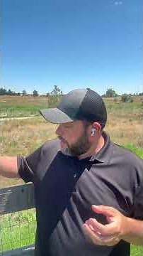 Boost Your Business Visibility with Alexa: The Ultimate Guide to Voice Search Optimization