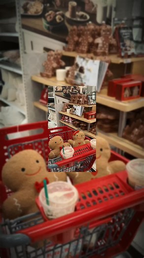 Target Shopping Tips for the Holidays