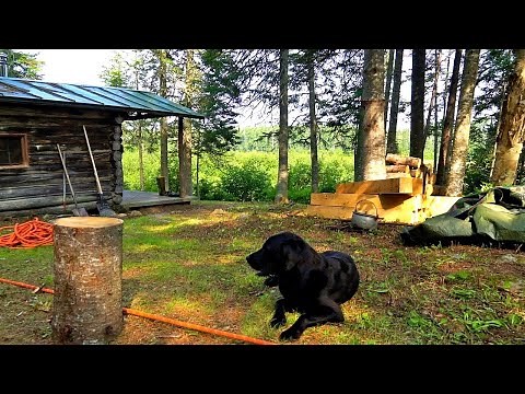 Rustic Log Cabin Build Deep in the North Maine Woods (Part 2)