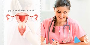 Endometrio: Función y problemas comunes | Blog Reina Madre
