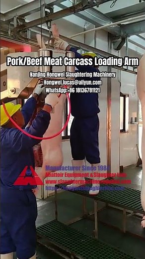 Meat Carcass Loading Arm for Pork Plant | Pig Slaughterhouse Automation Demo
