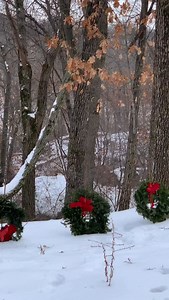 1.2K reactions · 76 shares | #Yuletide Tradition: #CircleSanctuary Circle Cemetery is among the 5000+ private & public cemeteries taking part in Wreaths Across America Day today across the USA. Evergreen wreaths are placed at veteran gravesites. Some of the #Wreaths placed at Veterans Ridge at #CircleCemetery today are shown here. Remember. Honor. Teach. | Selena Fox | Facebook