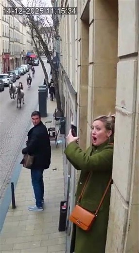 Wild Horses Stampede Through Downtown Lyon – Real CCTV That Shocked Everyone