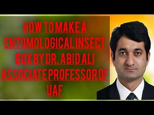 How to make entomological insect box,method & preservation of insects by Dr.Abid Ali | hasuvlogs|UAF