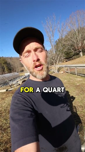 How I make colostrum custard