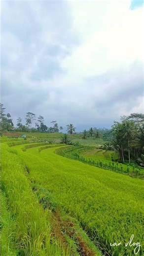 A relaxing lanscape with cloudy sky