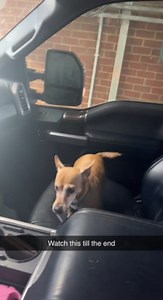 To license this content please click here: https://www.jukinmedia.com/licensing/view/1449985?utm_source=RMsocialpost&utm_medium=RMsocialpost | Jukin Copyright Management | Facebook