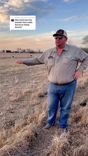 Ranch Fencing Techniques for Dorper Sheep on TikTok