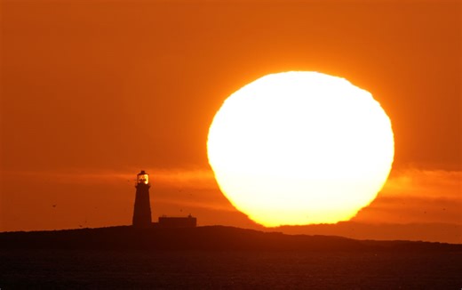 From snow to spring? Milder weather heading for West Midlands - here's what to expect