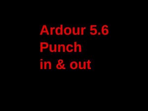 ardourpunch-in-out