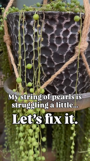 4.3K views · 205 reactions | I’m so glad took care of this before it...