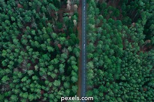 Video Views Videos, Download The BEST Free 4k Stock Video Footage & Video Views HD Video Clips