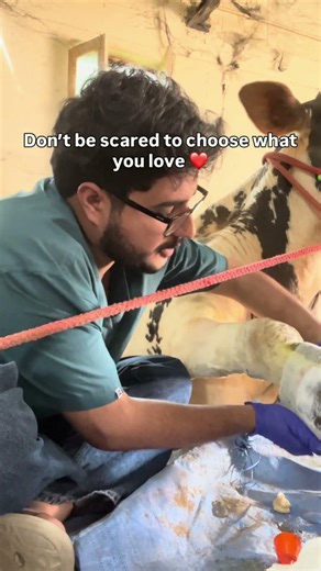 Should you join veterinary ? #veterinary #neet #neet2026 #vetstudent