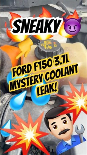 Ford F150 3.7 L MYSTERY Coolant Leak Faulty Heater Hose￼ O-Ring 😳 ￼