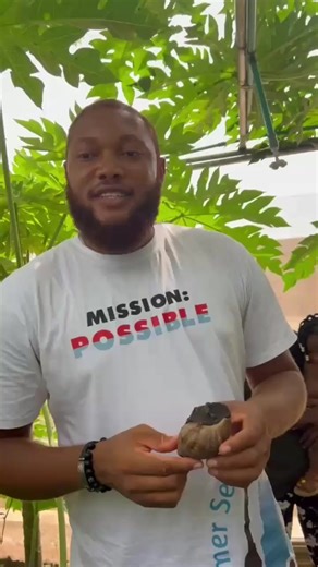 Take a step now! Register for Snail Farming Reloaded! Congratulations to our first 100 students who will secure one week of free mentorship from @joks_snailfarm! We’re excited to guide you closely on your snail farming journey. You can still be part of the first 100 and enjoy this exclusive 1-week mentorship immediately after completing Snail Farming Reloaded. Registration link: https://jokssnailfarm.selar.com/j871788111 #jokssnailfarm #snailfarming #snails #snailfarmer #snailfarmingreloaded