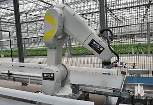 Robotics in horticulture