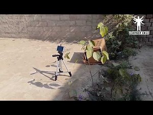 Amazing quick cat trap - Best Cat Trap (100% Work) - How To Make Easy cat Trap - Best technology