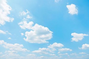 Burnaby's weather forecast for October 22: Light rain throughout the day - The Weather Network