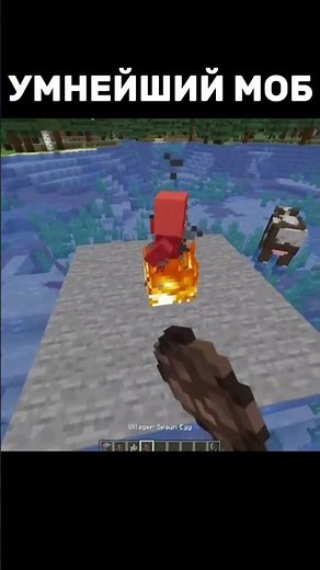 Você já viu isso acontecer no Minecraft?