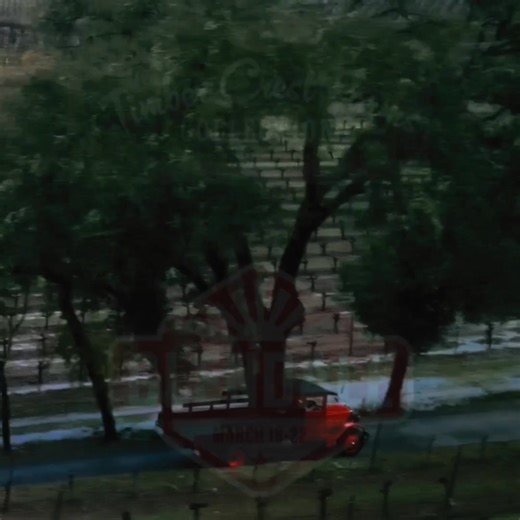 Dive into the world of collector cars at our Glendale Auction. Secure your spot and experience the thrills of automotive excellence! | Mecum Auctions