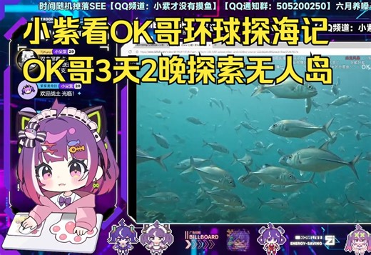 【小紫才没有摸鱼】看OK哥Oman自驾第十六集，OK哥3天2晚探索无人岛