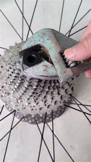 SILENCE YOUR BIKE! Fixing Cassette Creaks in Seconds⚙