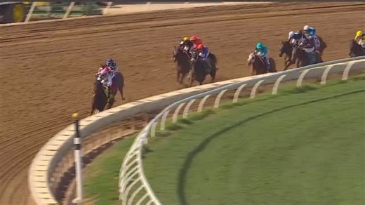 1.7K views · 155 reactions | Trainer Bill Mott and jockey Junior Alvarado teamed up with Scylla to capture the Breeders’ Cup Distaff (G1). The Juddmonte homebred gave Mott his sixth victory in the race. #horseracing #paulickreport #thoroughbredracing #thoroughbreds #breederscup | Paulick Report | Facebook