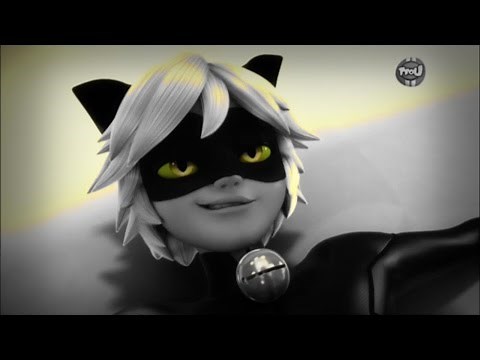 booty had me like ( ͡° ͜ʖ ͡°) [Miraculous Ladybug/Cat Noir AMV]