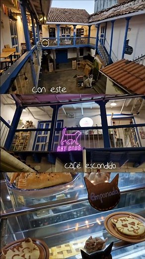 ¿Gatos y café en Cusco? Este lugar lo tiene todo☕️🐱⛰️
