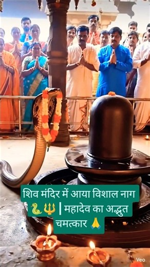 शिव मंदिर में आया विशाल नाग 🐍🔱 | महादेव का अद्भुत चमत्कार 🙏 | Har Har Mahadev #shorts