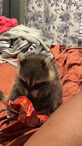 185K views · 2.7K reactions | Actual footage of me 5 minutes after starting a diet | Raven Wilson | Facebook