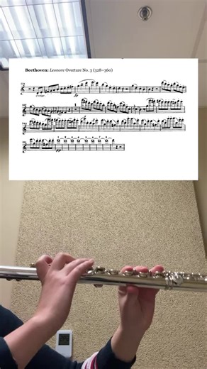 Audition mode✨ #flute #fypシ #fyp #music #foryourpage #classicalmusic #viralvideo