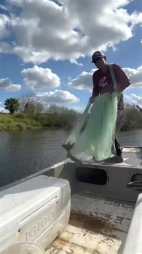 Cant Not Catch Fish! #foryou #fishing #castnet #tilapia #sport #godisgood #fish #netting #sportfishing #wildcaught #outdoor #castnetfishing | The Miss Fish | Facebook