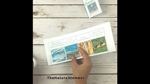 Learn to make your booklet and get this free printable! https://www.thenaturalhomeschool.com/how-to-fold-a-1-page-booklet-instructional-video.html | The Natural Homeschool | Facebook
