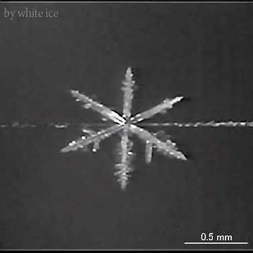 雪結晶の成長（樹枝状結晶）