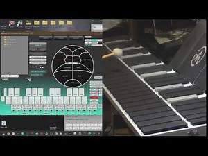 malletKAT with KATALYST Software :Bendir