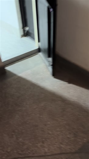 Understanding Internet Capacity with Wavecore