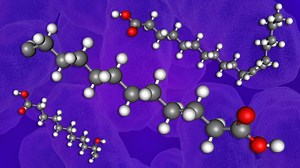 The new era of postbiotics: Gut microbiome-derived lipid metabolites for health and wellness