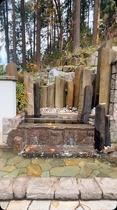 3.7K views · 513 reactions | A few moments of serenity from our...