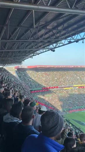 Springboks vs New Zealand 2024: Rugby Highlights