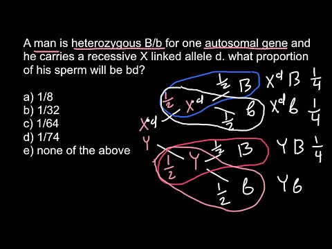 How to apply Forked-line method in Genetics